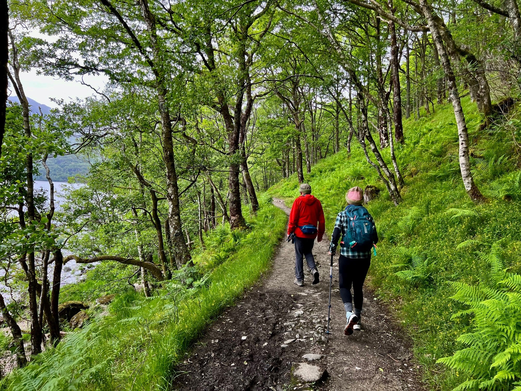 two people hiking in forest