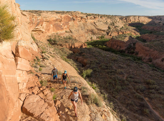 hikers